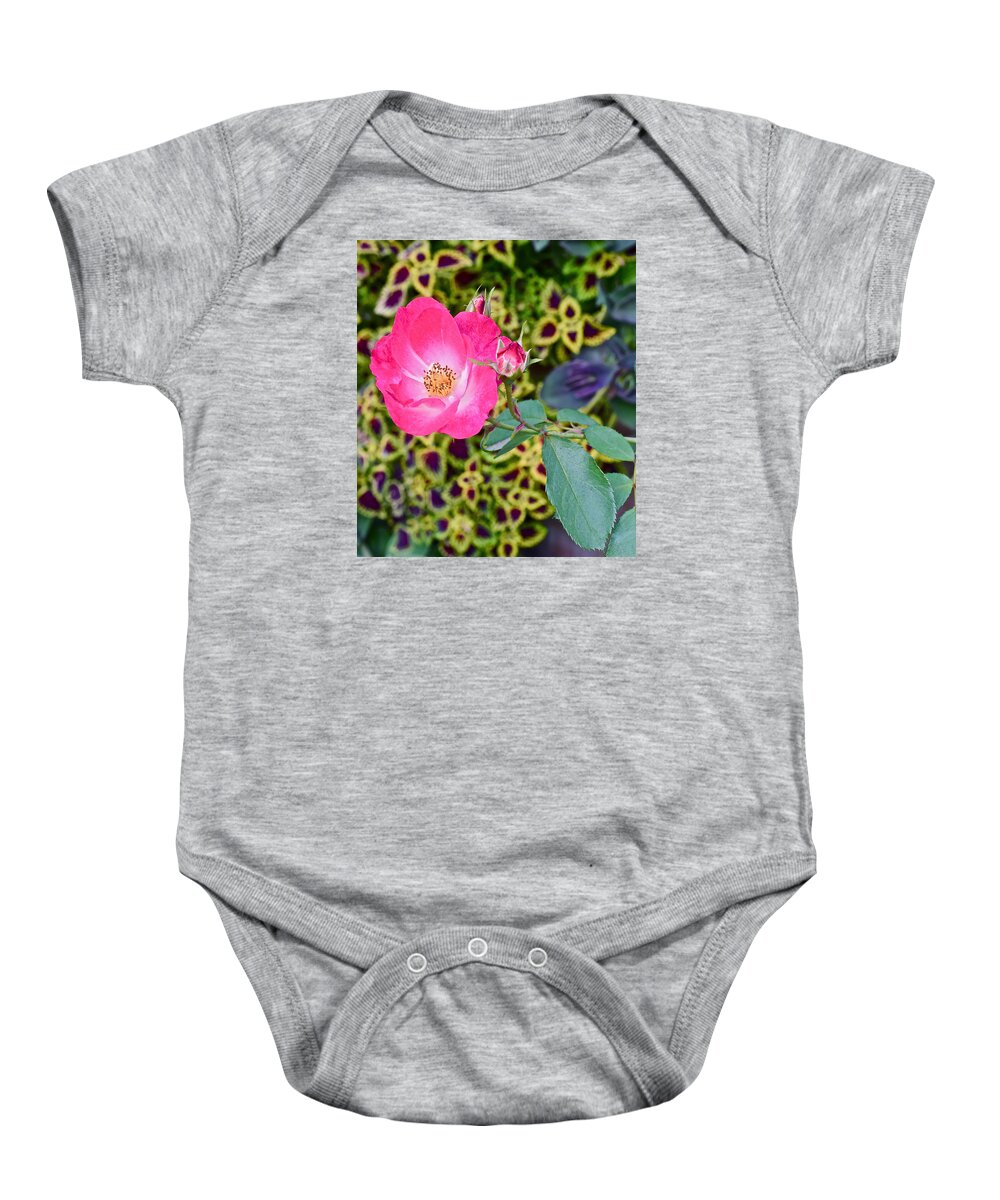 Double Knockout Rose Baby Onesie featuring the photograph 2015 Fall Equinox at the Garden Hello Fall by Janis Senungetuk