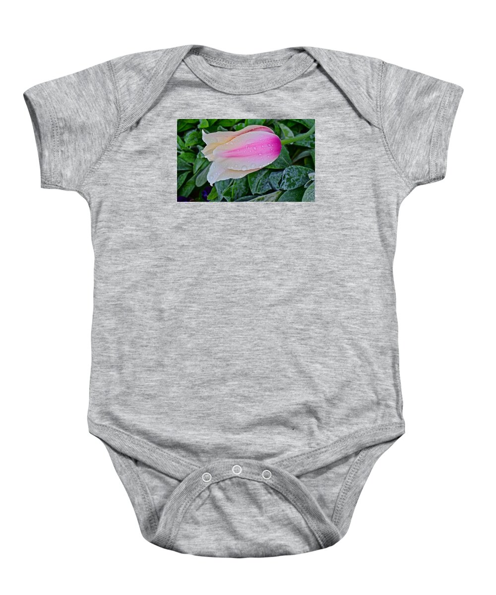 Tulips Baby Onesie featuring the photograph 2015 Spring at Olbrich Gardens Lily Tulip in the Rain by Janis Senungetuk