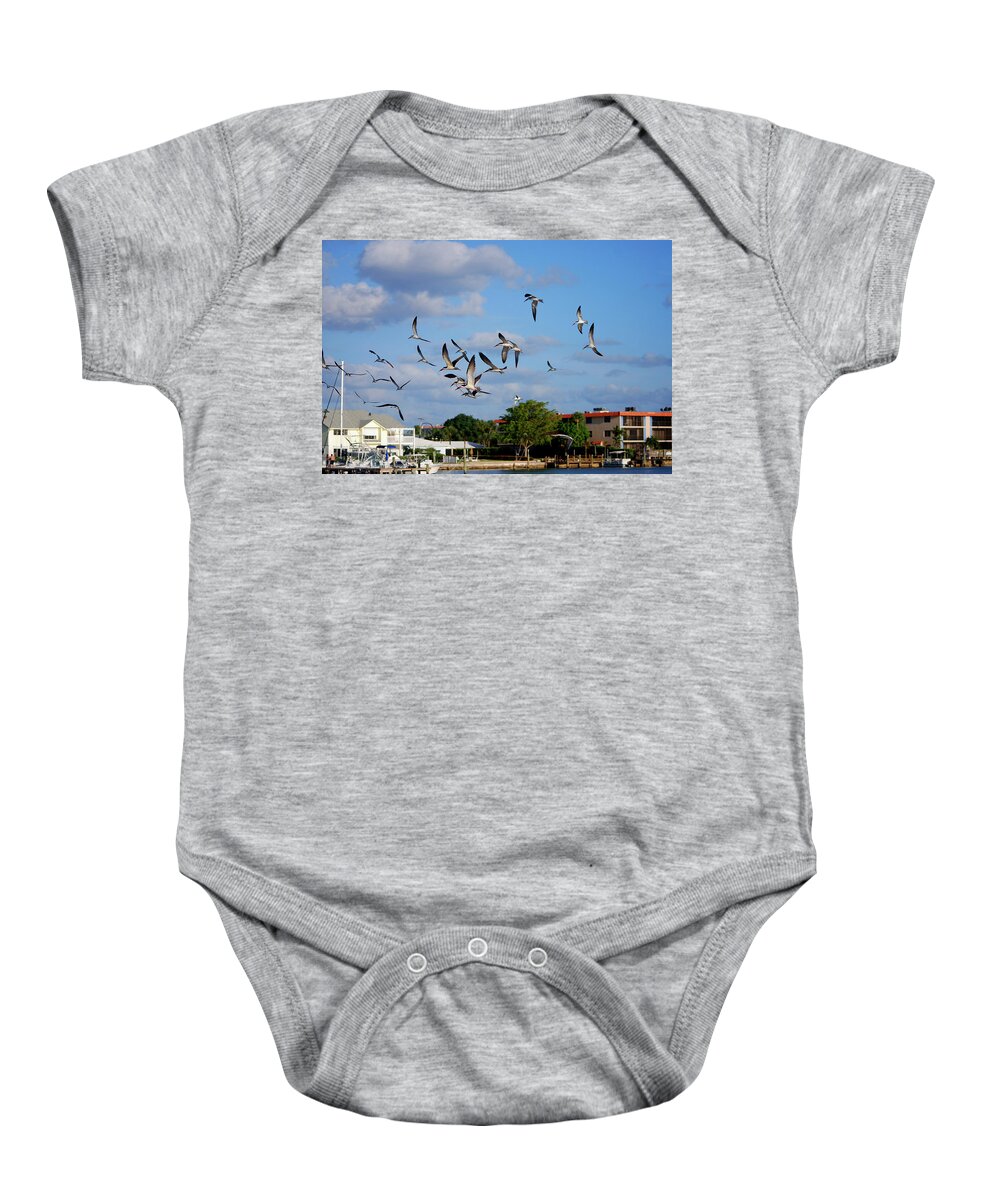 Black Baby Onesie featuring the photograph 4- Black Skimmers by Joseph Keane