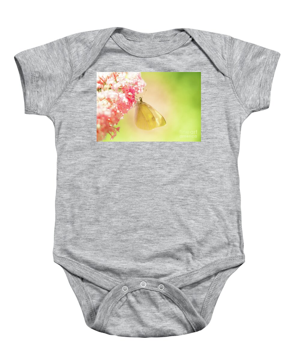 Europe Baby Onesie featuring the photograph Pieris brassicae, the large white, also called cabbage butterfly #4 by Amanda Mohler