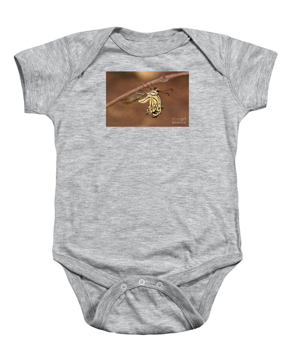 Butterfly Baby Onesie featuring the photograph Swallowtail Butterfly Emerging From Cocoon #4 by Alon Meir