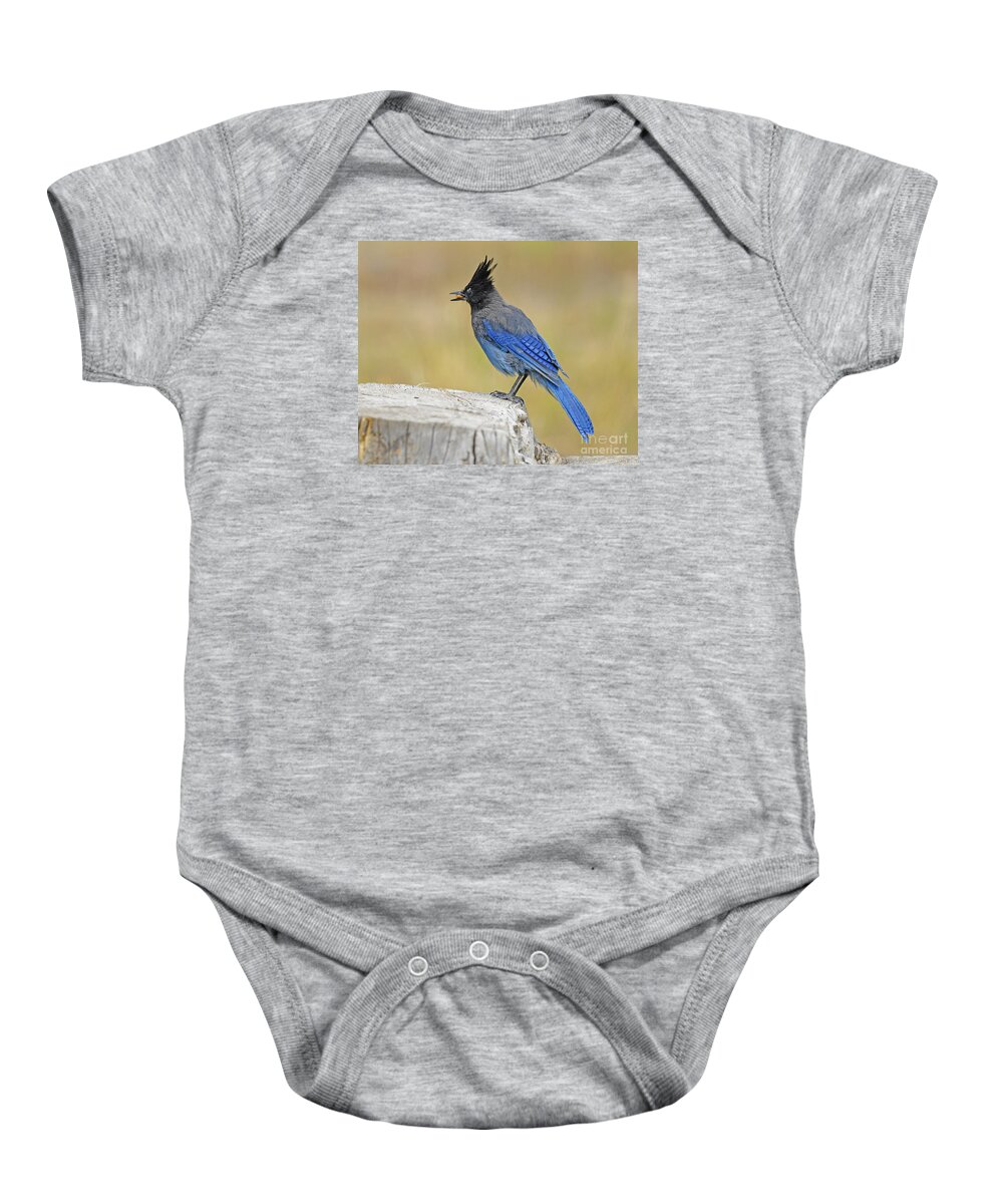 Bird Baby Onesie featuring the photograph Stellers Jay #6 by Dennis Hammer