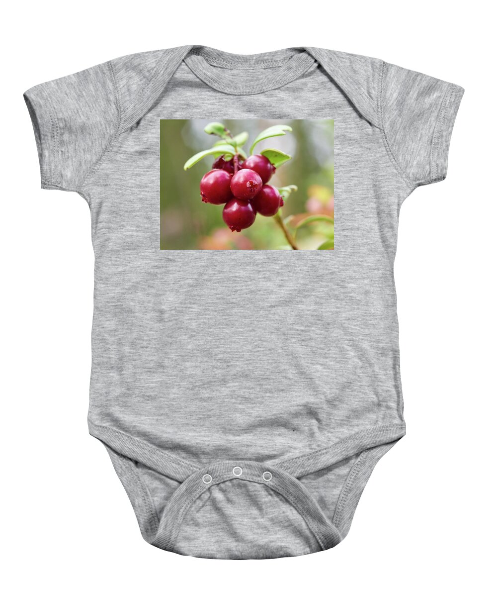 Jouko Lehto Baby Onesie featuring the photograph Lingonberry #6 by Jouko Lehto