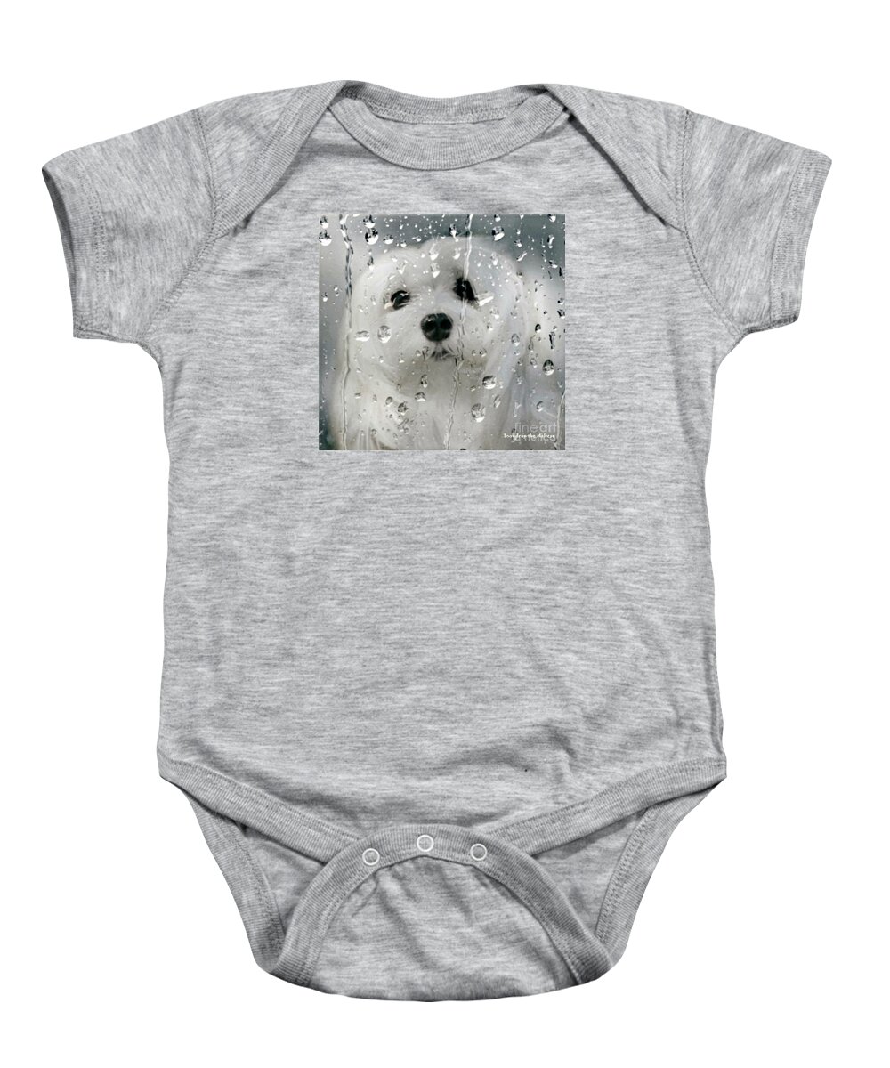 maltese Dog Baby Onesie featuring the photograph Snowdrop the Maltese #6 by Morag Bates
