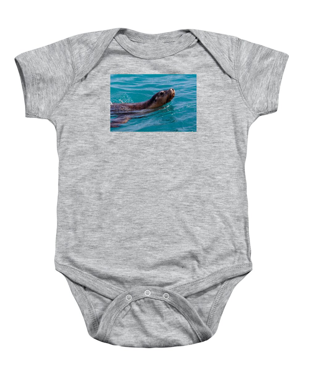 Sea Lion Baby Onesie featuring the photograph A Casual Look by Robert Caddy