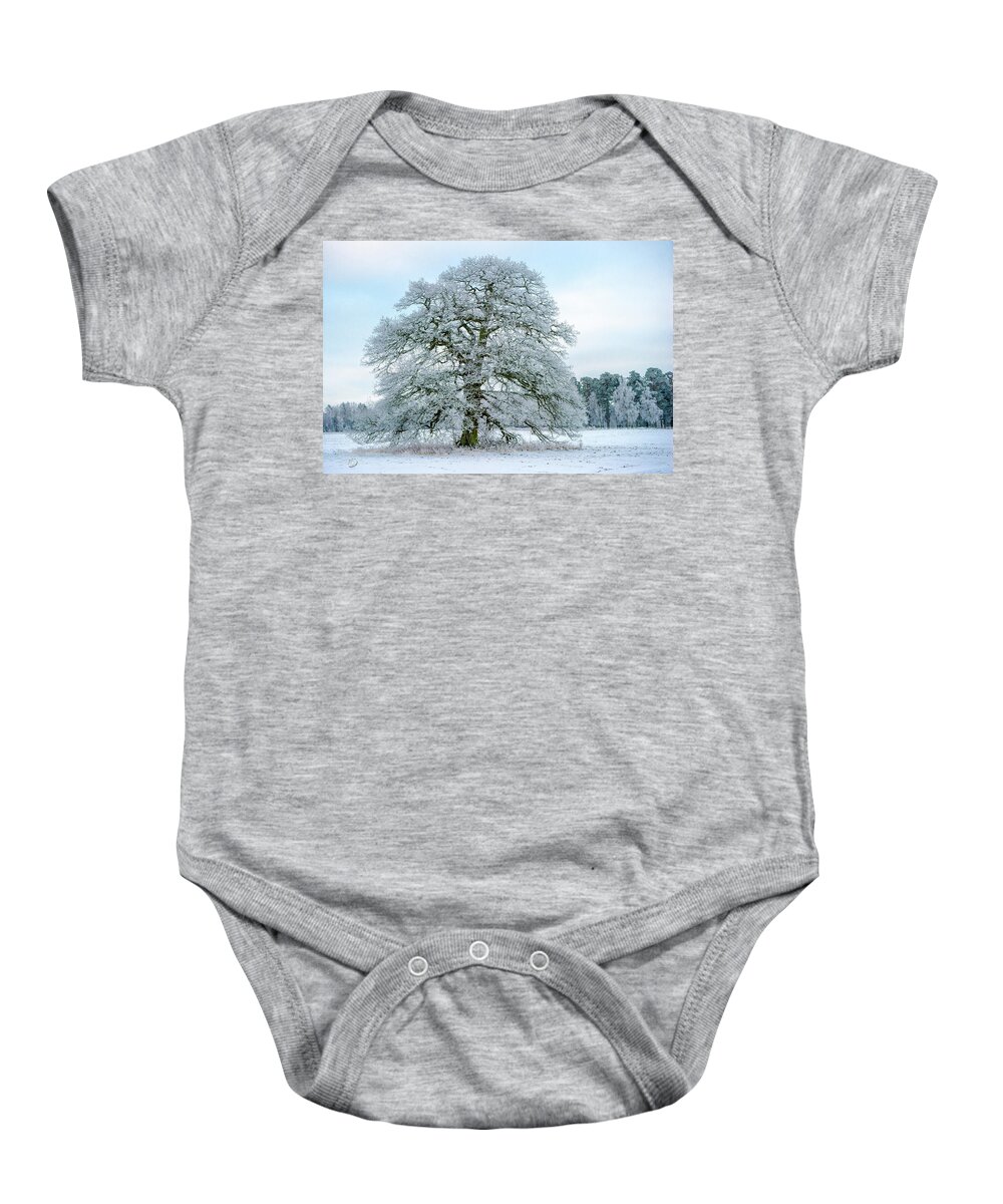 A Frosty Grand Old Oak Baby Onesie featuring the photograph A Frosty Grand Old Oak by Torbjorn Swenelius