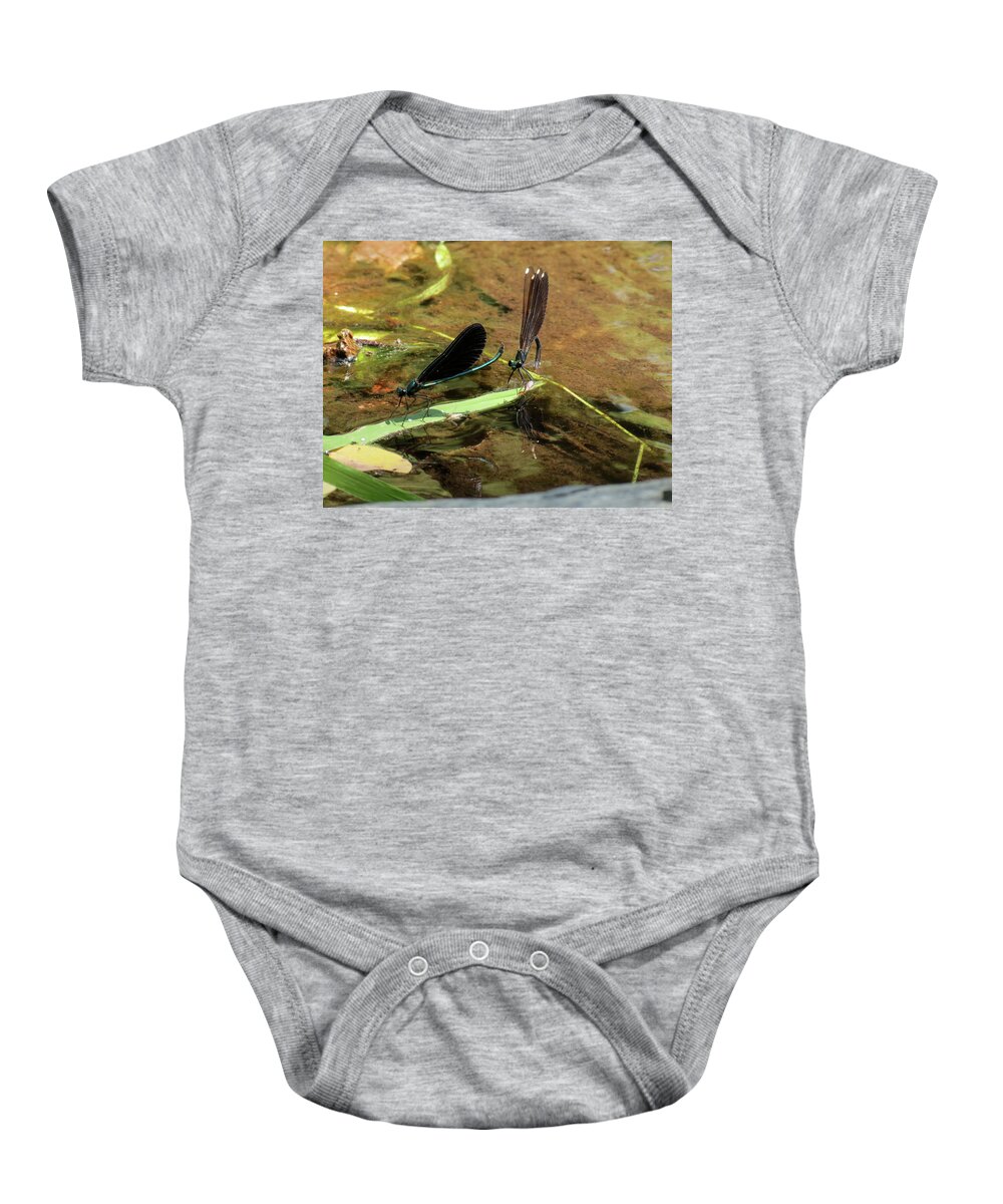 Damselfly Baby Onesie featuring the photograph A pair alight by Azthet Photography