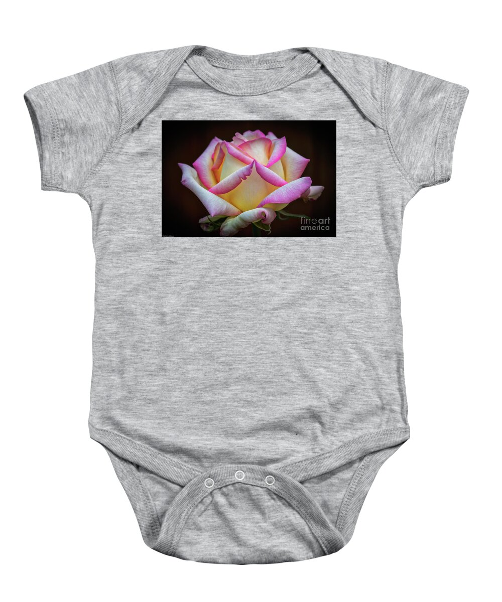 A Rose By Any Other Name Baby Onesie featuring the photograph A Rose By Any Other Name by Mitch Shindelbower