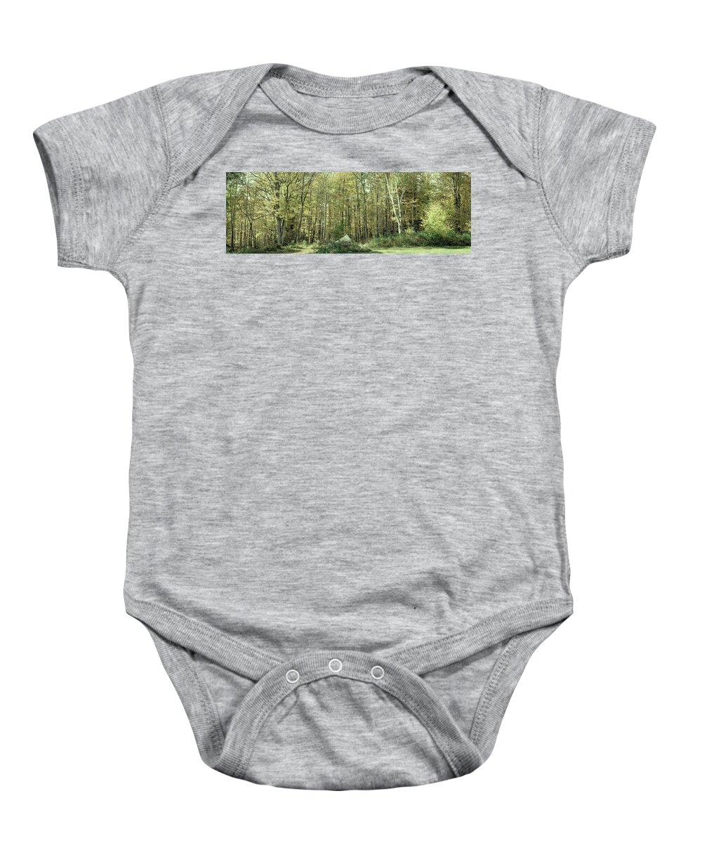 Landscapes Baby Onesie featuring the photograph A Stand of Trees in Autumn by David Patterson