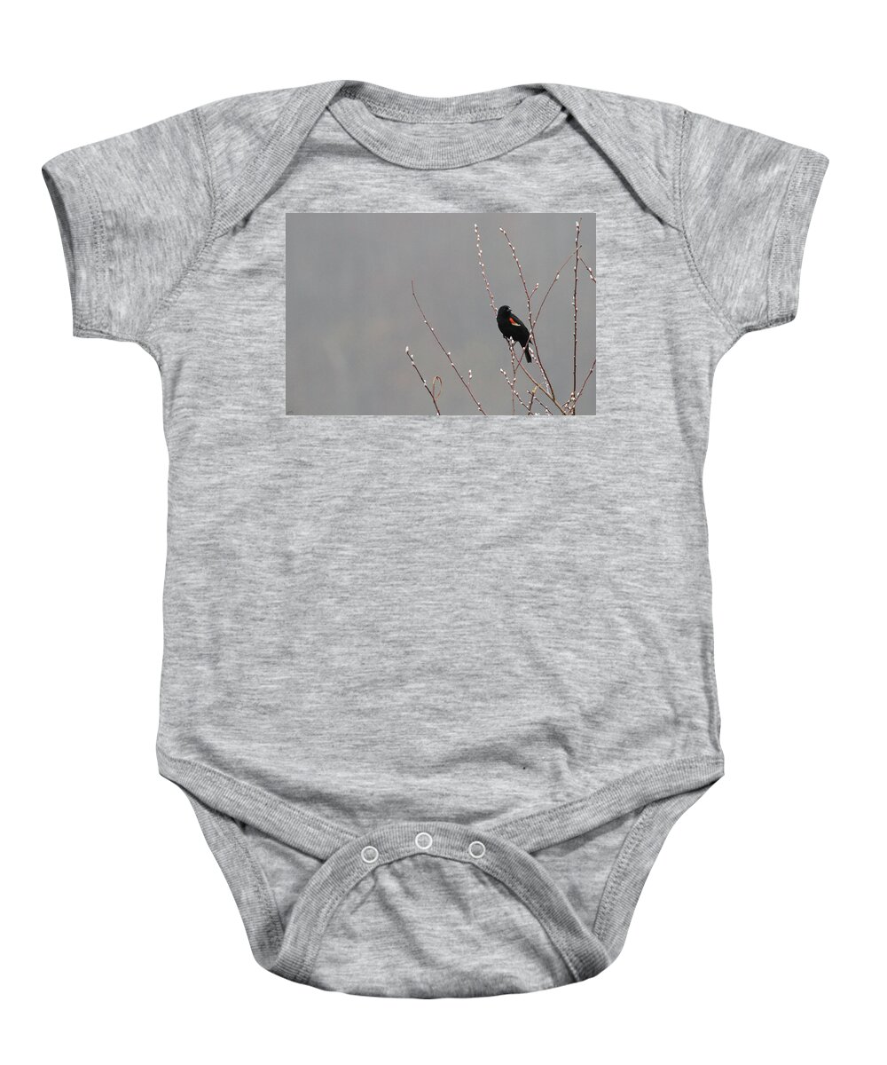 Spring Baby Onesie featuring the photograph A Sure Sign of Spring by Karol Livote