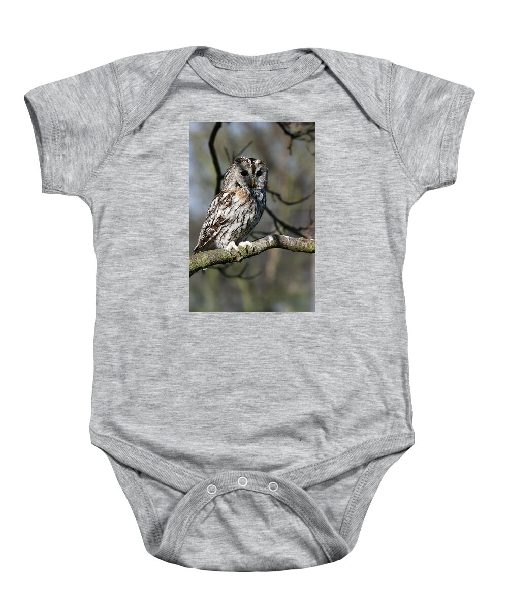 Tawny Owl Baby Onesie featuring the photograph A Tawny Owl by Andy Myatt