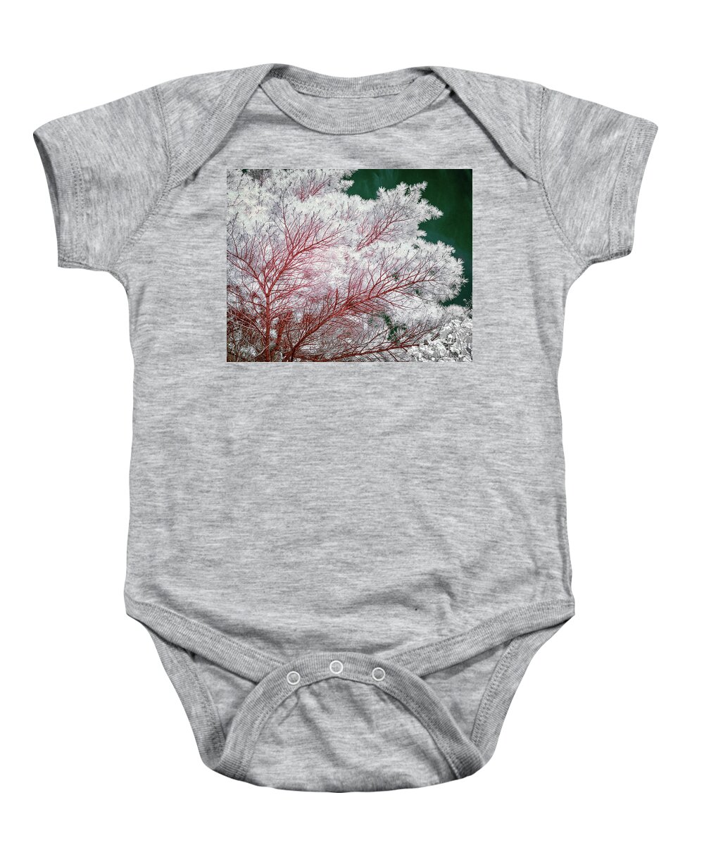 Acadia Baby Onesie featuring the photograph Acadia evergreens faux color IR by Izet Kapetanovic