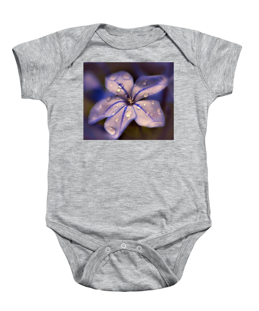 Rain Baby Onesie featuring the photograph After The Rain by Mountain Dreams