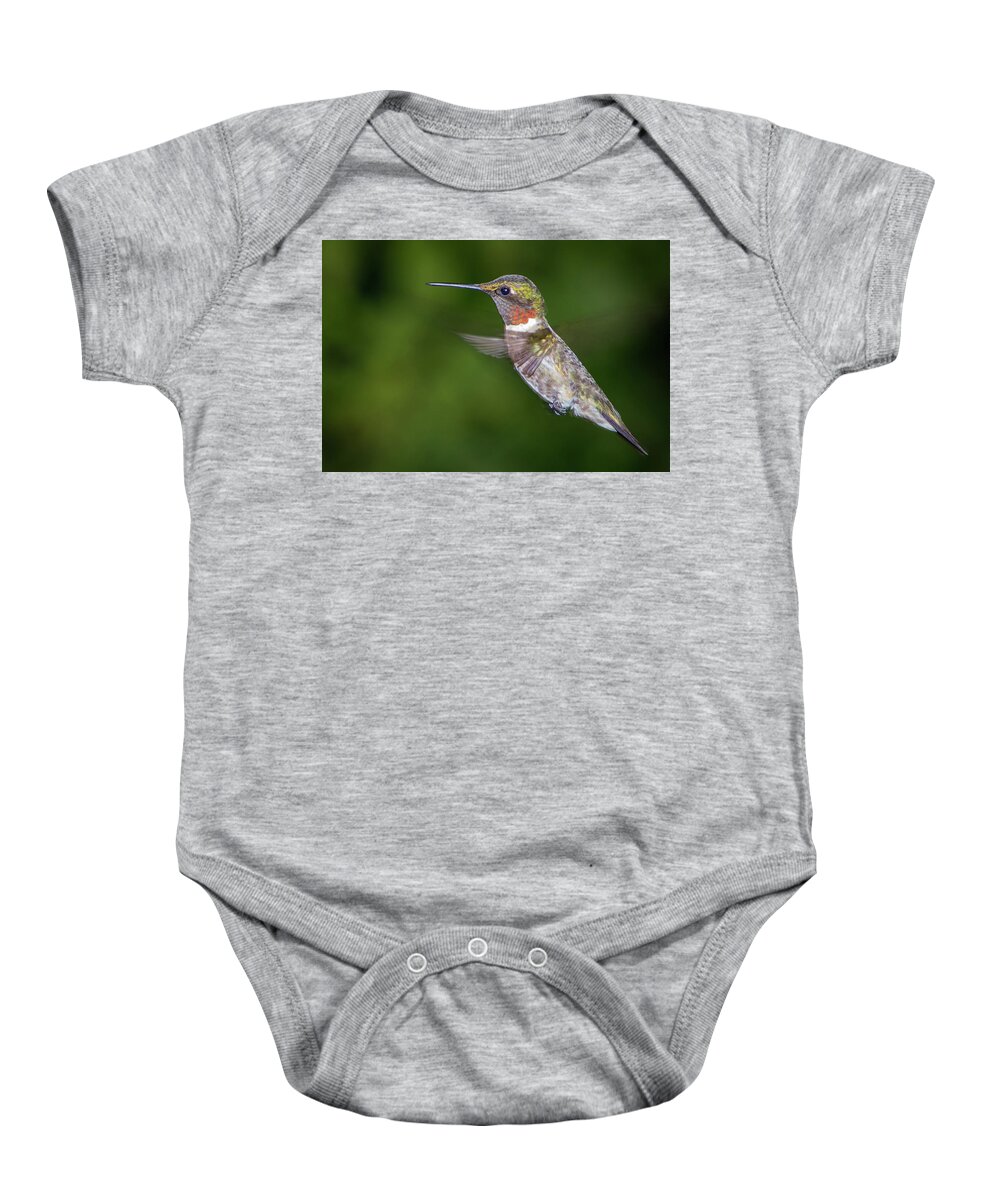 Wildlife Baby Onesie featuring the photograph Ain't I Cute by John Benedict