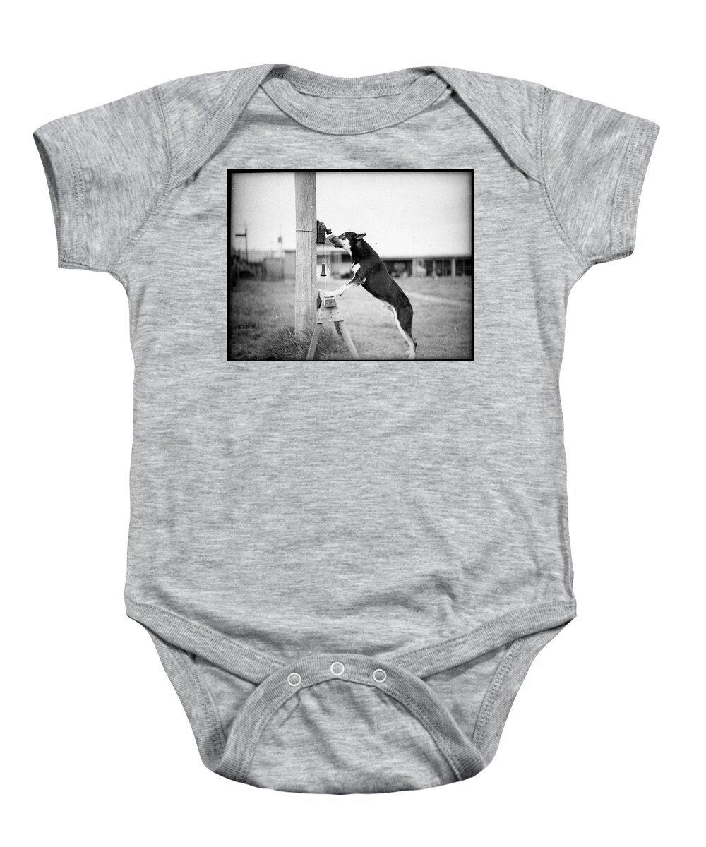Dog Baby Onesie featuring the photograph All About Communication by Billy Soden