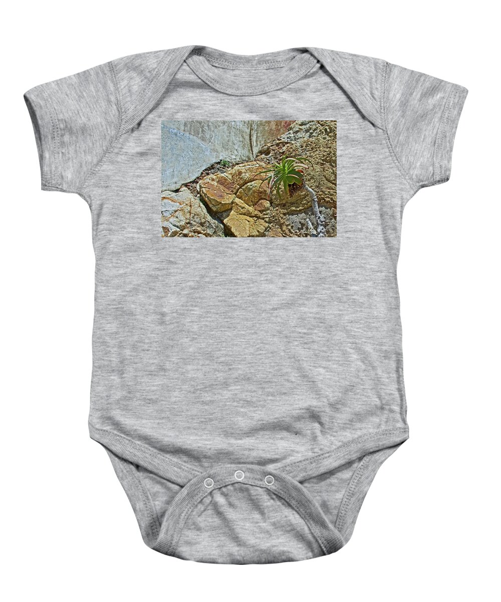 Aloe On The Rocks Near Lighthouse In Point Reyes National Seashore Baby Onesie featuring the photograph Aloe on the Rocks near Lighthouse in Point Reyes National Seashore, California by Ruth Hager