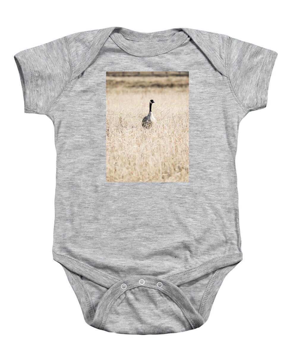 Alaska Baby Onesie featuring the photograph Alone in the Field by Ian Johnson