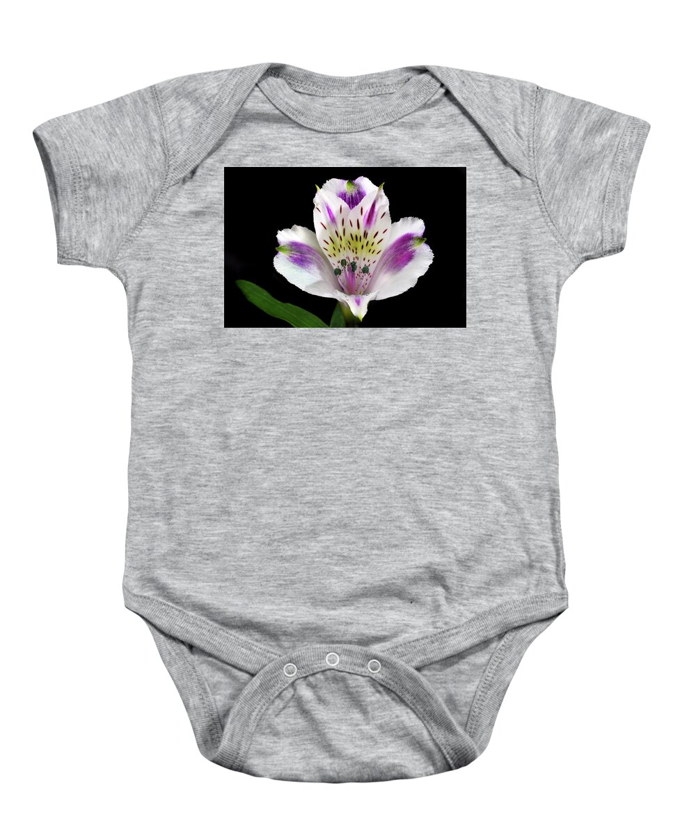 Peruvian Lily Baby Onesie featuring the photograph Alstroemeria Portrait. by Terence Davis