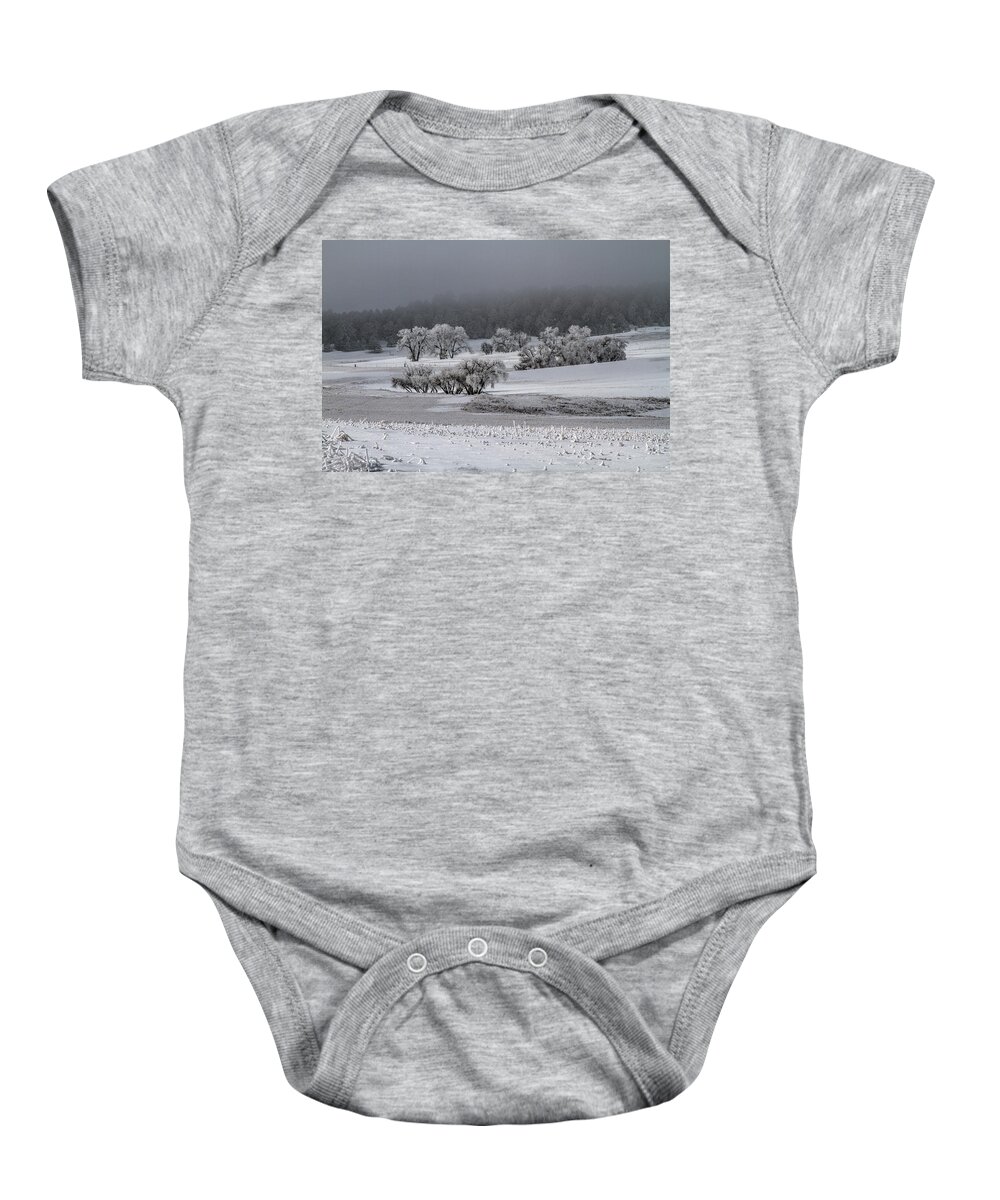 Winter Baby Onesie featuring the photograph An Affair of Cottonwoods by Alana Thrower