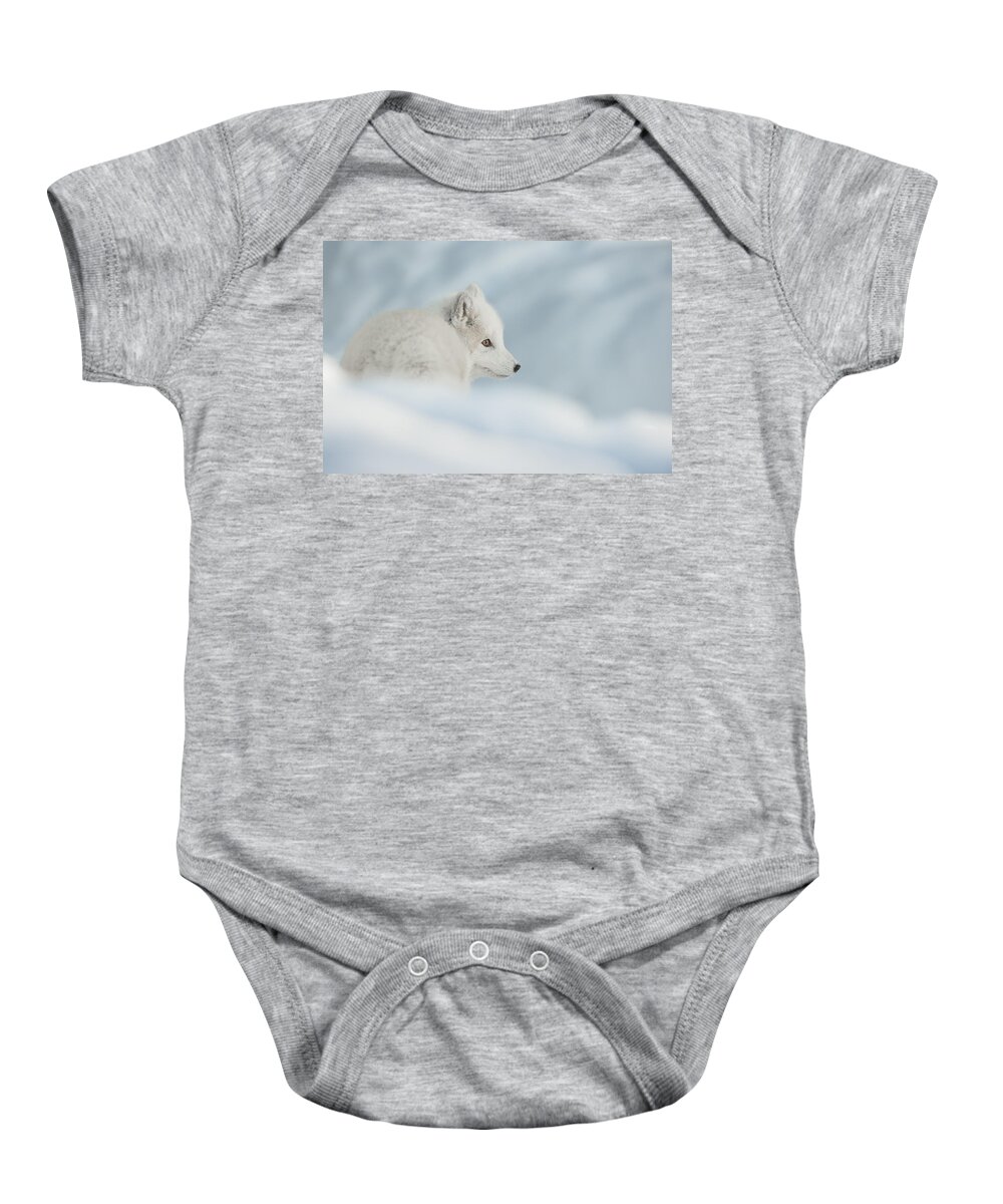 Arctic Baby Onesie featuring the photograph An Arctic Fox in Snow. by Andy Astbury