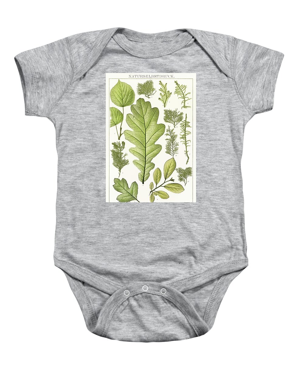 Antique Baby Onesie featuring the drawing An arrangement of nature painting of various leaves by Vincent Monozlay