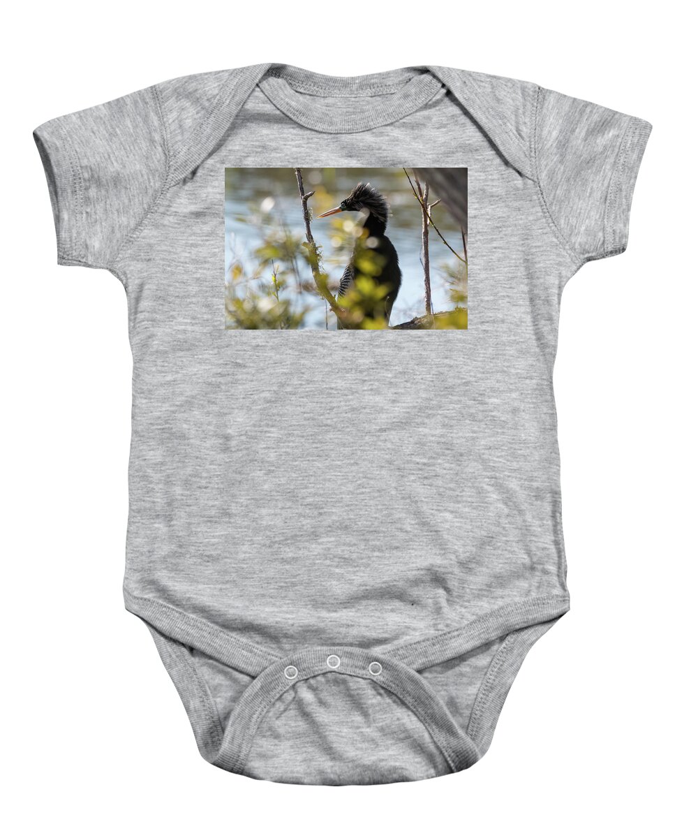 Anhinga Baby Onesie featuring the photograph Anhinga 3 March 2018 by D K Wall