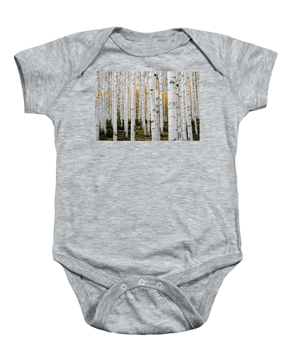 Aspen Baby Onesie featuring the photograph Aspens And Gold by Stephen Holst