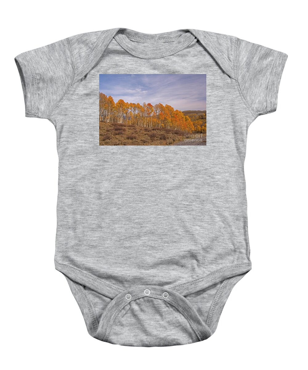 Aspens Baby Onesie featuring the photograph Aspens in Utah by Cindy Murphy - NightVisions