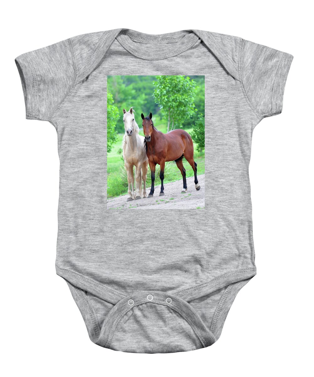 Animals Baby Onesie featuring the photograph At Grass by Lena Owens - OLena Art Vibrant Palette Knife and Graphic Design