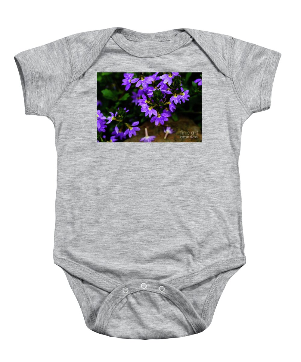 Australian Fan Flower Baby Onesie featuring the photograph Australian Fan Flower by Thomas R Fletcher