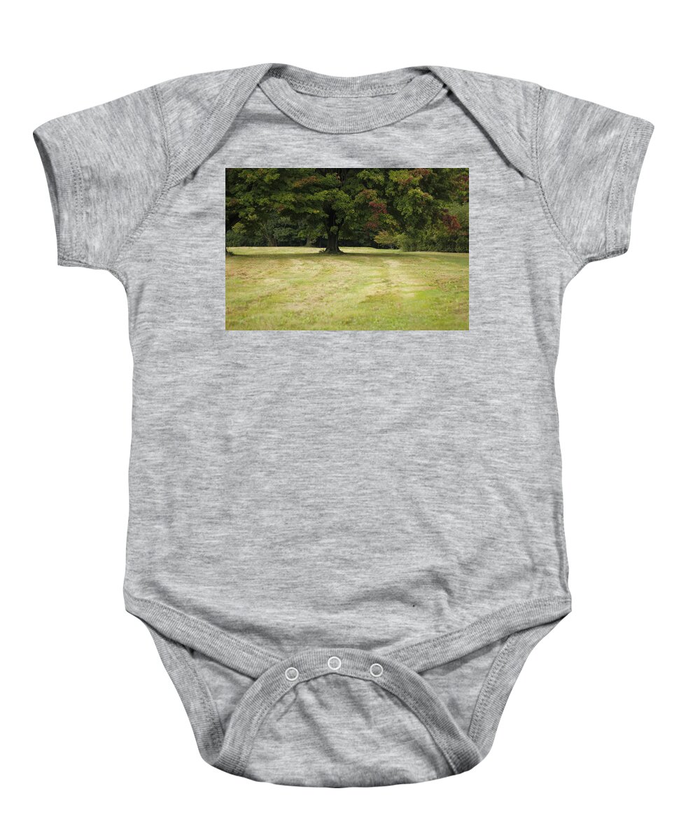 Fall Baby Onesie featuring the photograph Autumn Begins Maple Tree by Valerie Collins