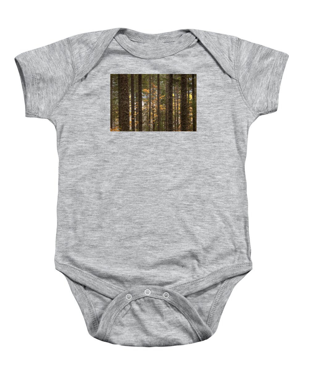 Autumn Baby Onesie featuring the photograph Autumn Forest by Scott Slone