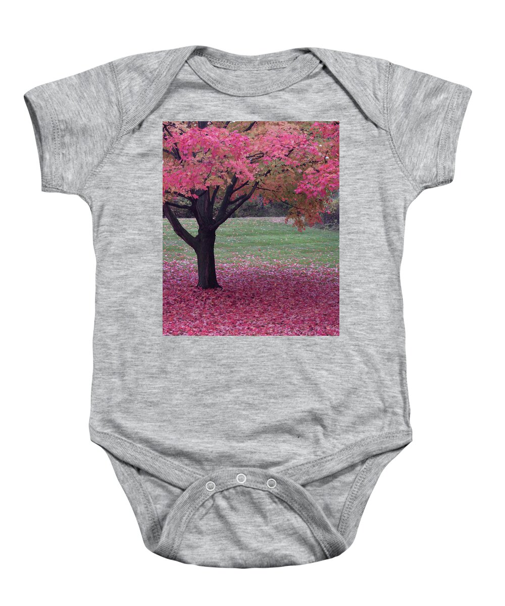 Cleveland Baby Onesie featuring the photograph Autumn by Stewart Helberg
