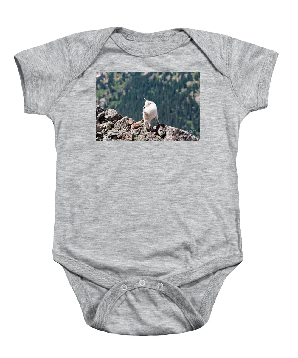 Mount Massive Baby Onesie featuring the photograph Baby Mountain Goat on Massive by Steven Krull