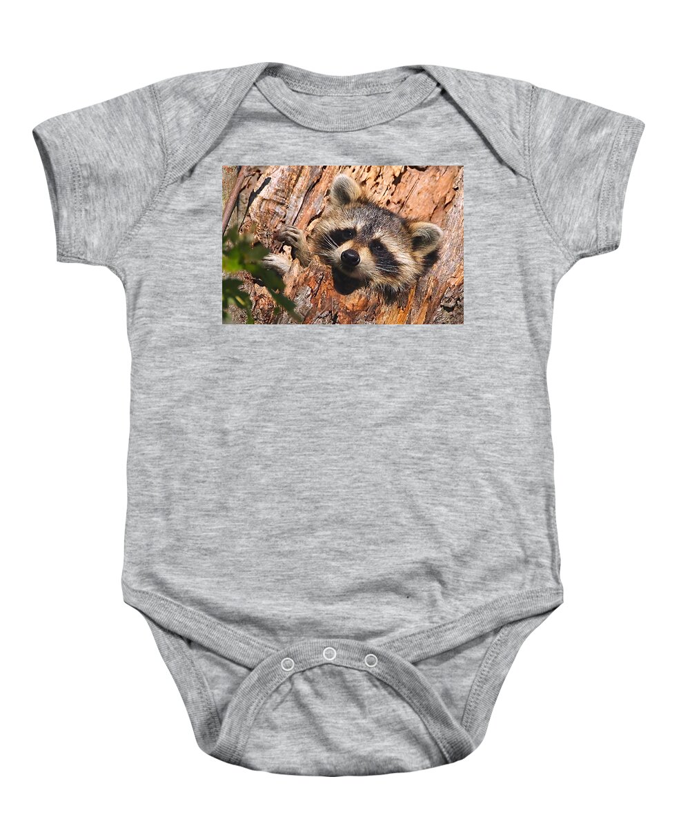 Raccoon Baby Onesie featuring the photograph Baby Raccoon by William Jobes