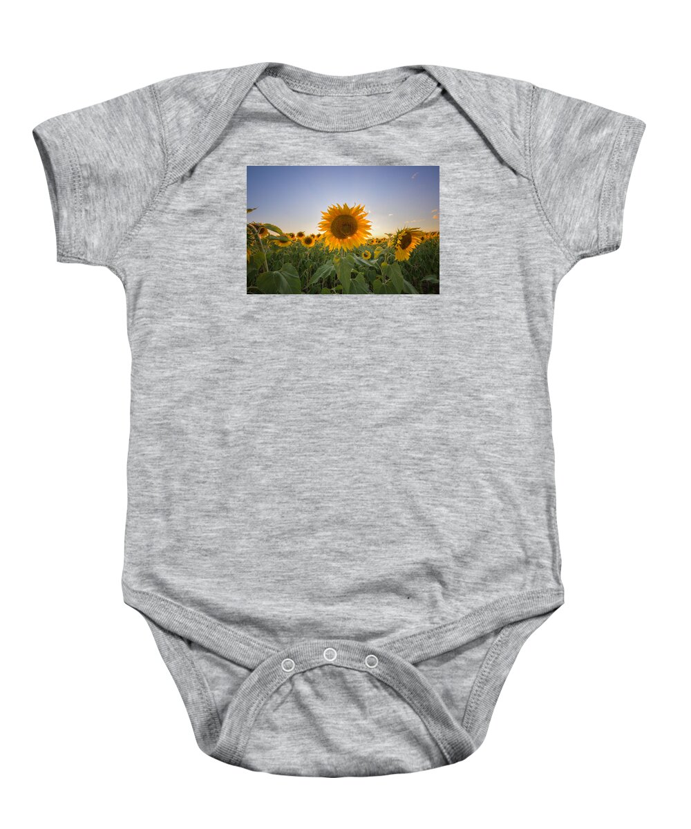 Flowers Baby Onesie featuring the photograph Backlit by Paul Schultz