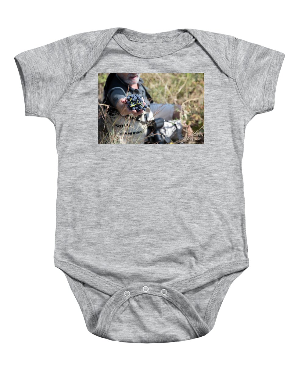 France Baby Onesie featuring the photograph Banyulas Grapes France by Chuck Kuhn