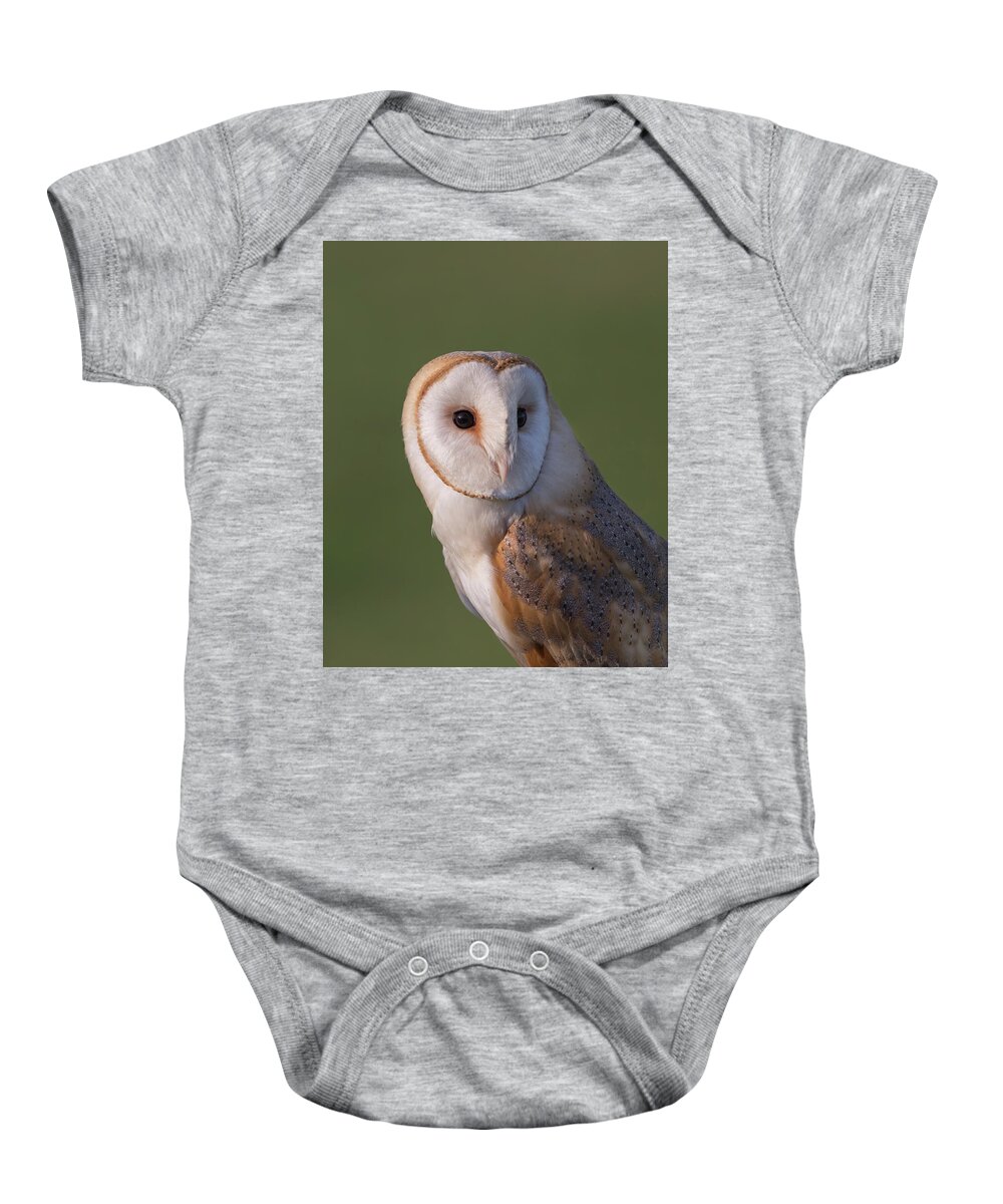 Barn Baby Onesie featuring the photograph Barn Owl Portrait by Pete Walkden