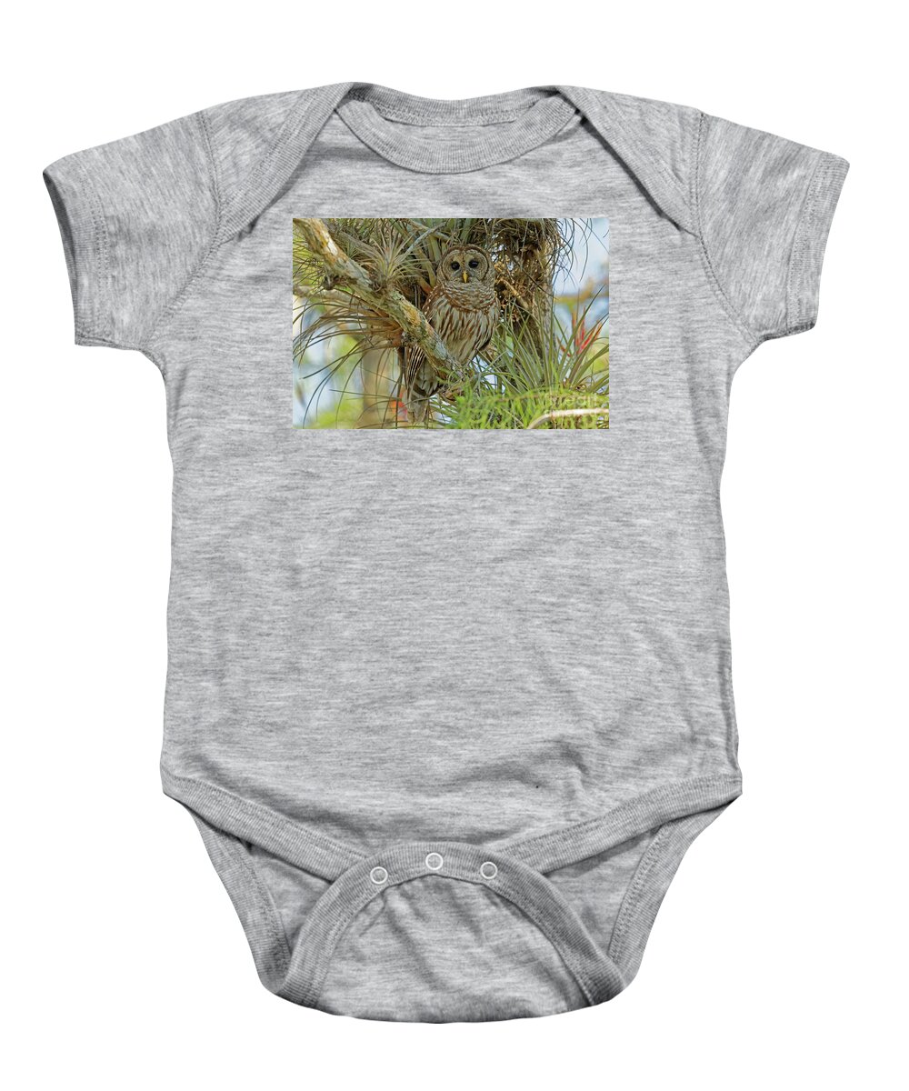 Barred Owl Baby Onesie featuring the photograph Barred Owl in The Everglades by Natural Focal Point Photography