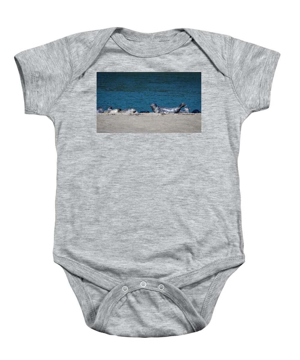 Seals Baby Onesie featuring the photograph Beach Yoga by Steven Clark