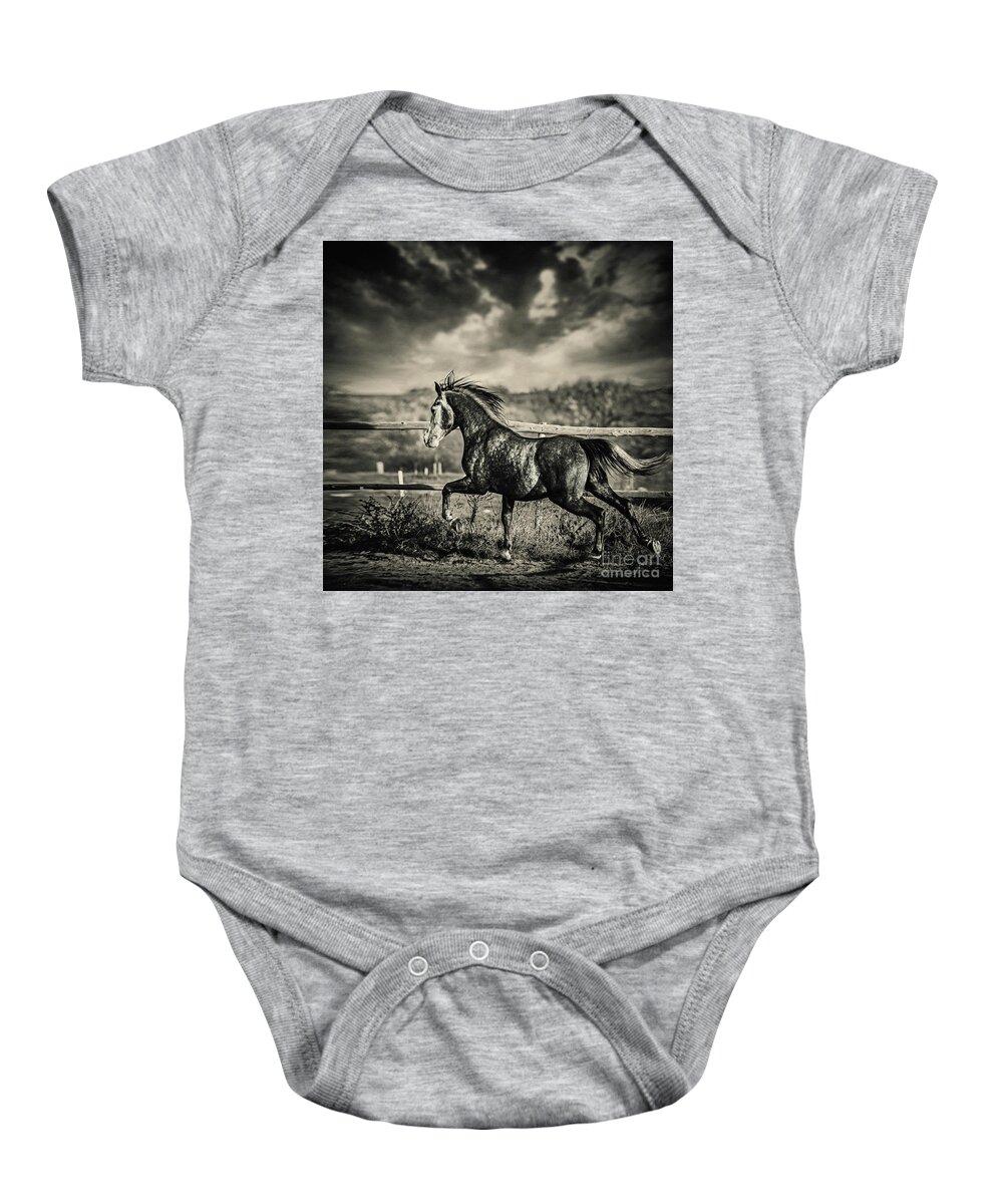 Horse Baby Onesie featuring the photograph Beautiful stallion running by Dimitar Hristov
