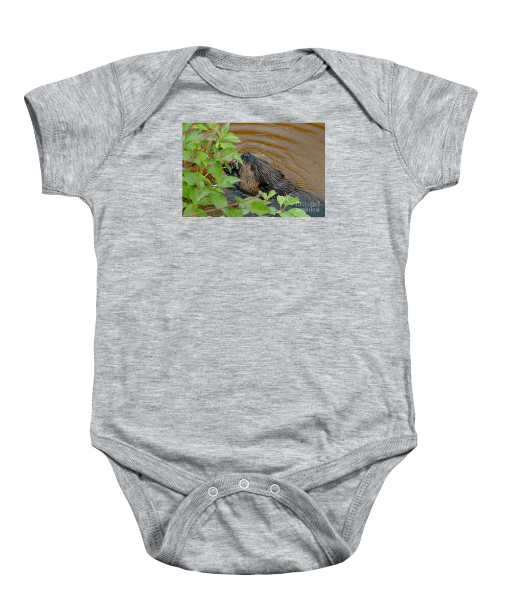 Animals Baby Onesie featuring the photograph Beaver Having a Snack by Sandra Updyke