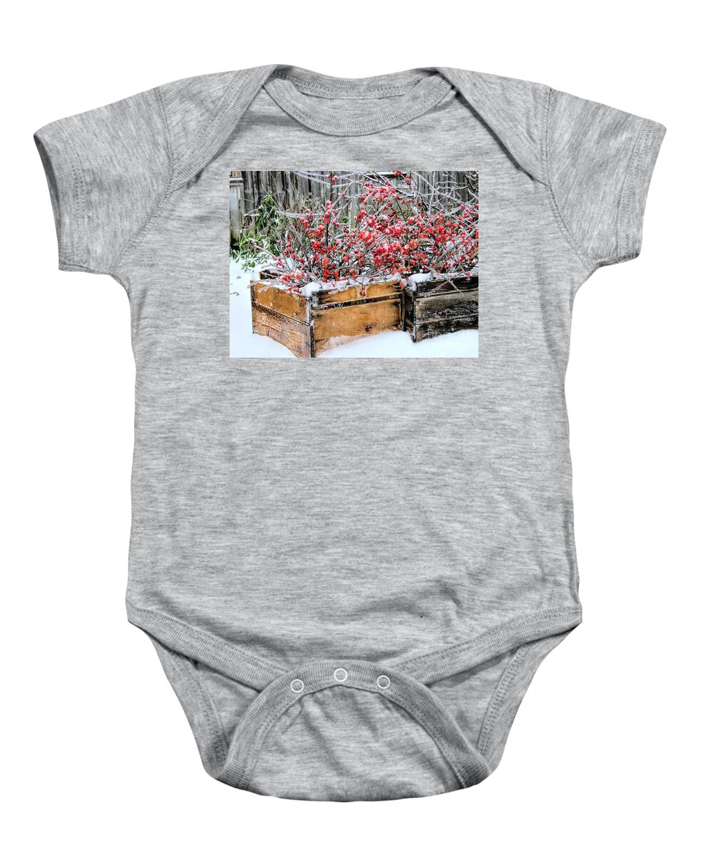 Berries Baby Onesie featuring the photograph Berries and Ice by Janice Drew