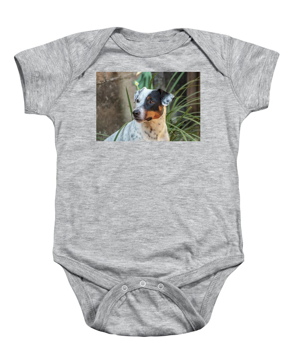 Dog Baby Onesie featuring the photograph Best Friend by Fred Boehm