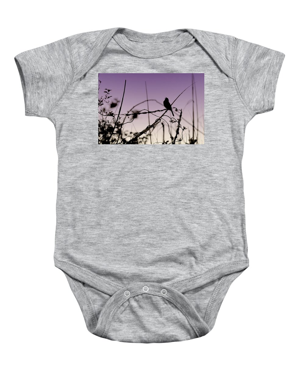 Silhouette Baby Onesie featuring the photograph Bird Sings by Angie Tirado