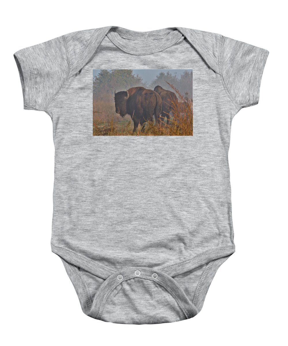 Bison Baby Onesie featuring the photograph Bison in the fog by Thomas Gorman