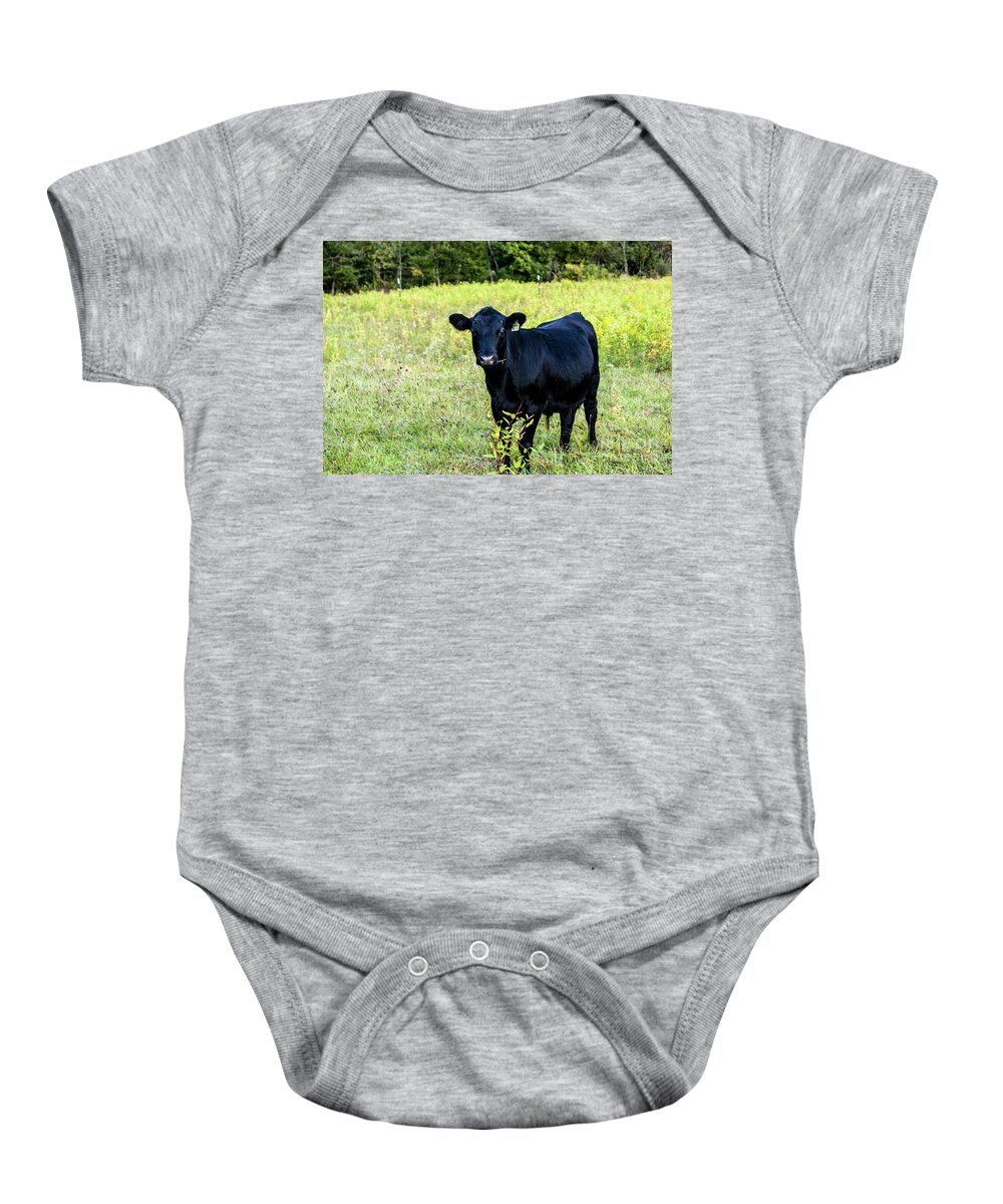 Angus Baby Onesie featuring the photograph Black Angus Steer by Kevin Gladwell