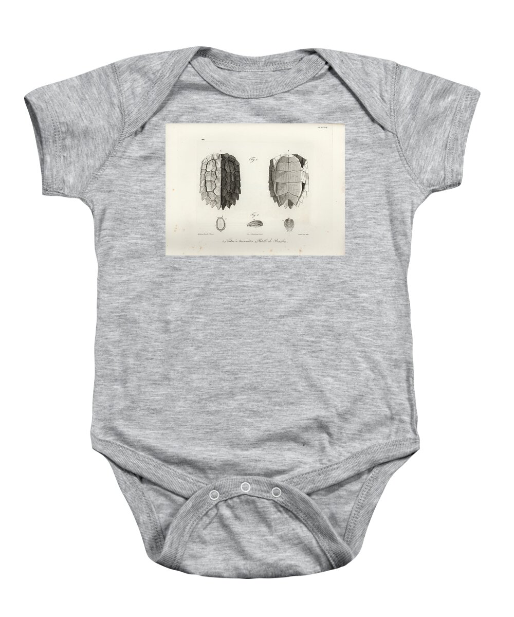 Leaf Turtle Baby Onesie featuring the drawing Black-Breasted Leaf Turtle by J B Bory de Saint Vincent