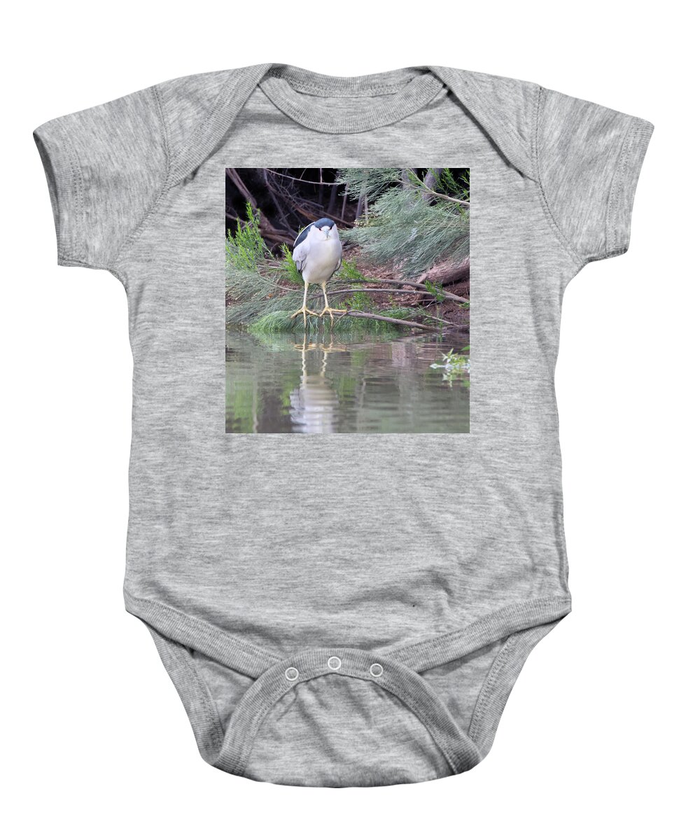 Black Baby Onesie featuring the photograph Black-crowned Night Heron Adult 7431-021418-2cr by Tam Ryan