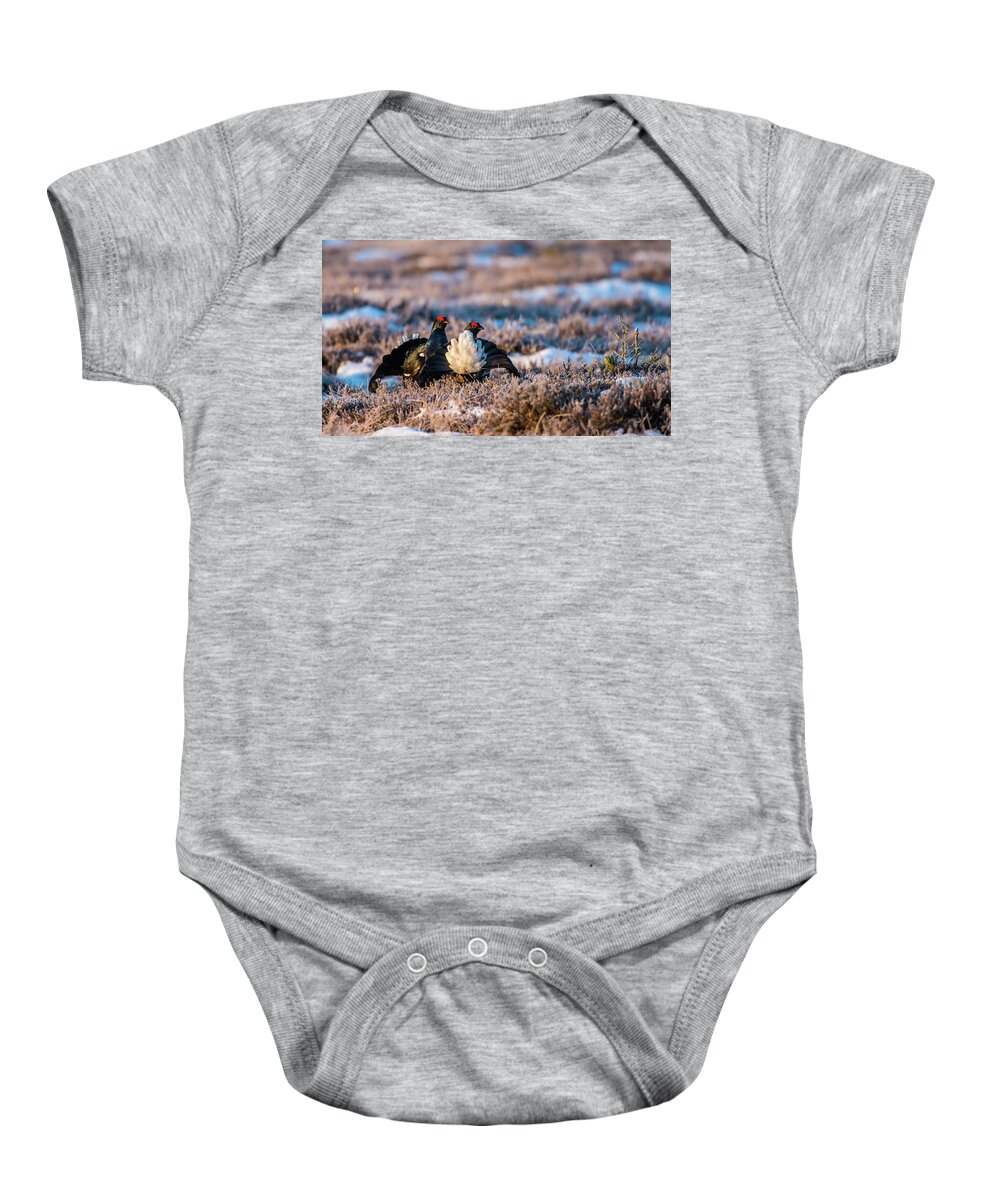 Black Grouse Baby Onesie featuring the photograph Black Grouses by Torbjorn Swenelius